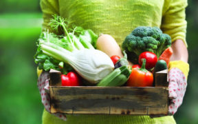 Alimentation saine-Bio : un marché en manque de repères | business-magazine.mu