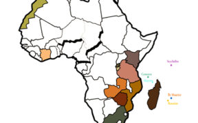 Région: raffermissement de la stratégie africaine | business-magazine.mu