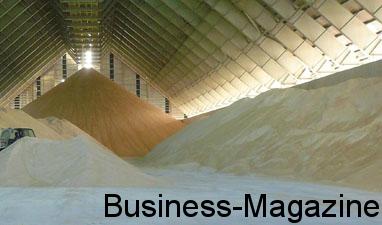 Le prix du sucre revu à la baisse | business-magazine.mu